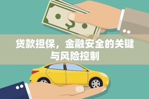 滨海贷款担保，金融安全的关键与风险控制