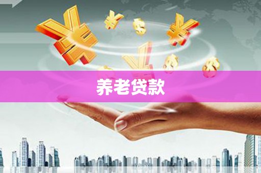 滨海养老贷款