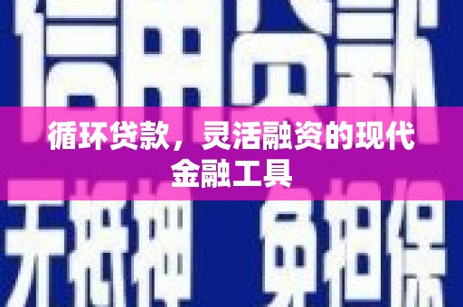 滨海循环贷款，灵活融资的现代金融工具