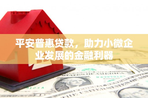 滨海平安普惠贷款，助力小微企业发展的金融利器