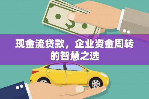 滨海现金流贷款，企业资金周转的智慧之选