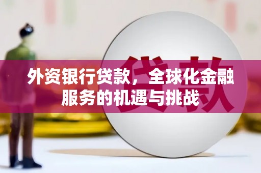 滨海外资银行贷款，全球化金融服务的机遇与挑战