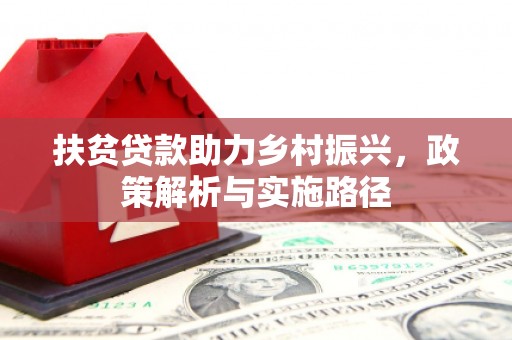 滨海扶贫贷款助力乡村振兴，政策解析与实施路径