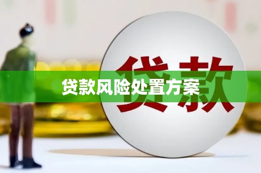 滨海贷款风险处置方案