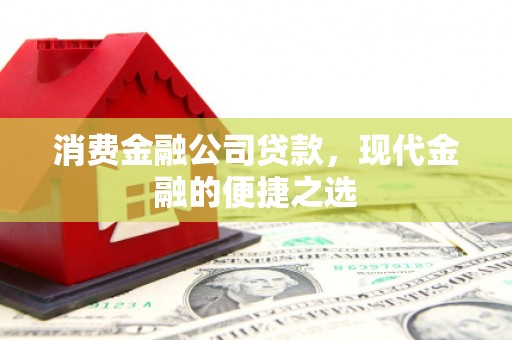 滨海消费金融公司贷款，现代金融的便捷之选