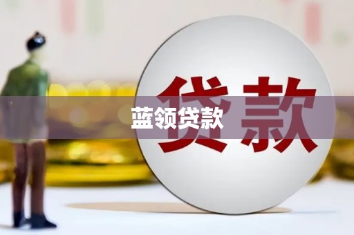滨海蓝领贷款