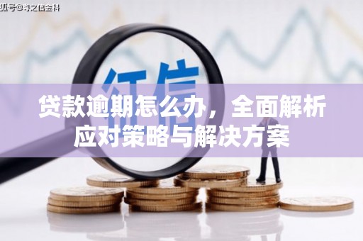 滨海贷款逾期怎么办，全面解析应对策略与解决方案