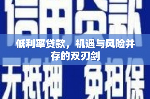 滨海低利率贷款，机遇与风险并存的双刃剑