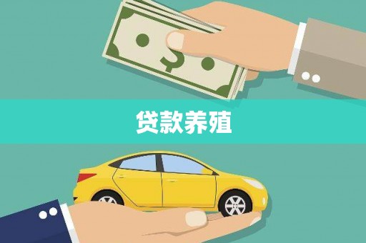 滨海贷款养殖