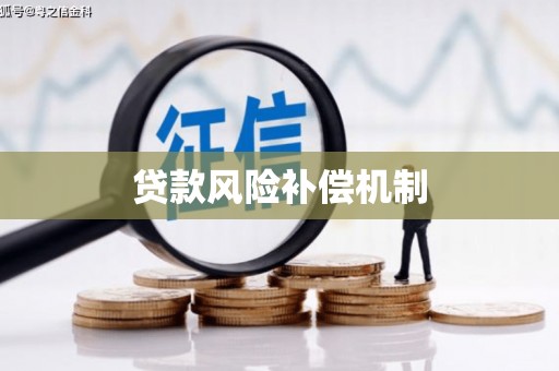 滨海贷款风险补偿机制