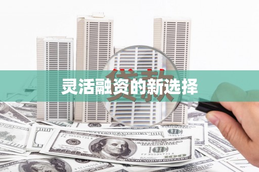 滨海灵活融资的新选择