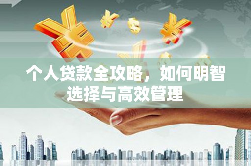 滨海个人贷款全攻略，如何明智选择与高效管理