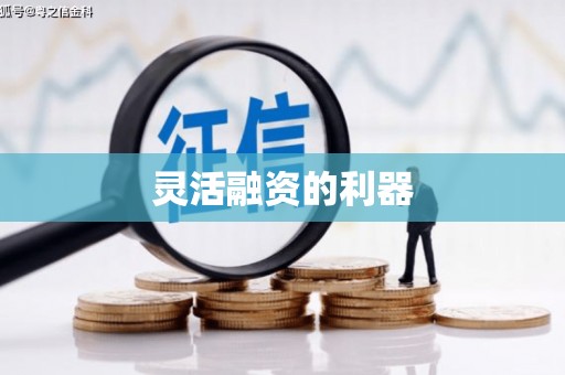 滨海灵活融资的利器