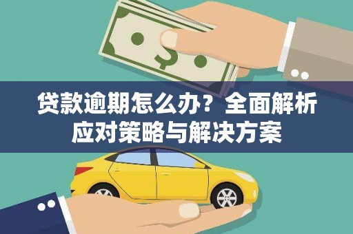 滨海贷款逾期怎么办？全面解析应对策略与解决方案