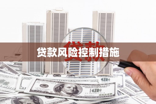 滨海贷款风险控制措施