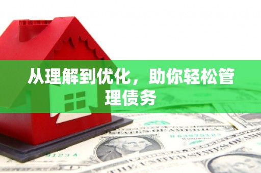 滨海从理解到优化，助你轻松管理债务