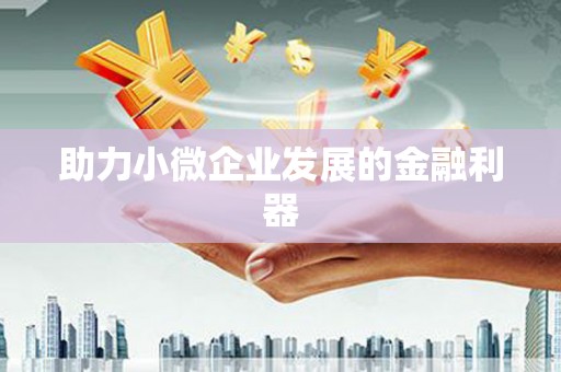 滨海助力小微企业发展的金融利器