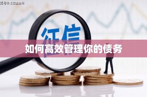 滨海如何高效管理你的债务