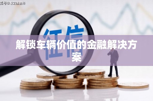 滨海解锁车辆价值的金融解决方案