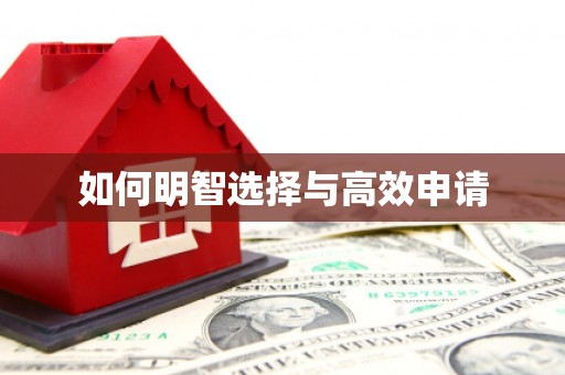 滨海如何明智选择与高效申请
