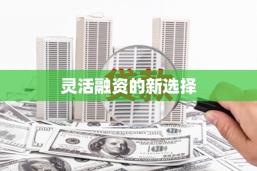 滨海灵活融资的新选择