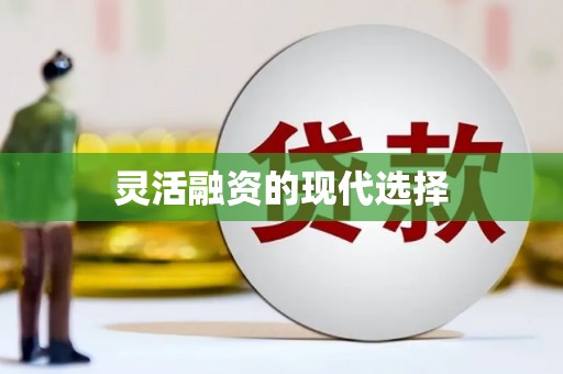 滨海灵活融资的现代选择