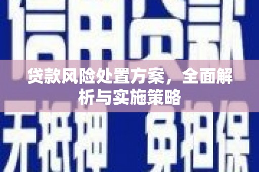 滨海贷款风险处置方案，全面解析与实施策略