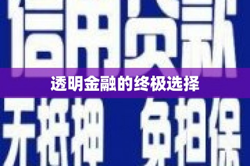 滨海透明金融的终极选择