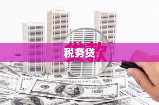 滨海税务贷