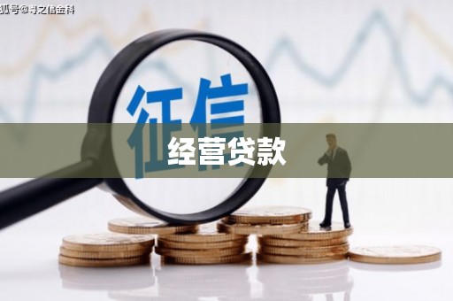 滨海经营贷款