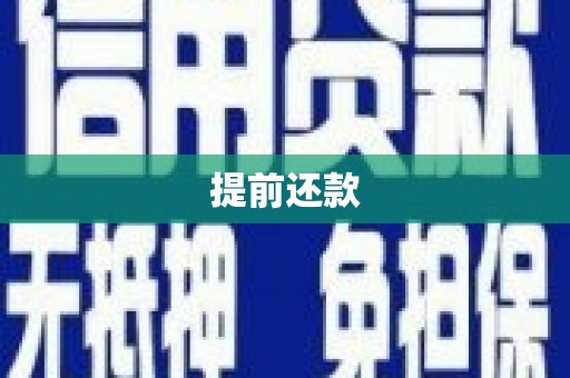 滨海提前还款