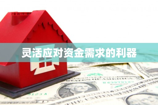 滨海灵活应对资金需求的利器