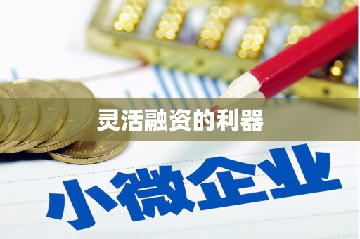 滨海灵活融资的利器