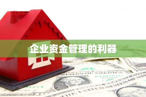 滨海企业资金管理的利器