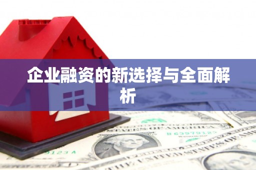 滨海企业融资的新选择与全面解析