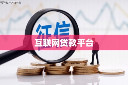 滨海互联网贷款平台