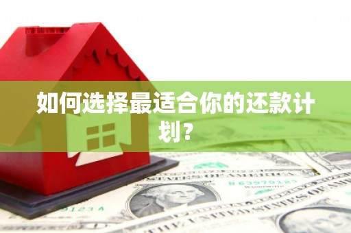 滨海如何选择最适合你的还款计划？
