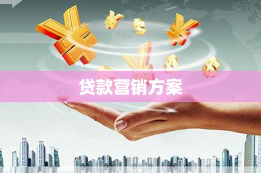 滨海贷款营销方案