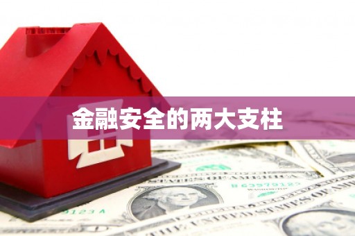 滨海金融安全的两大支柱