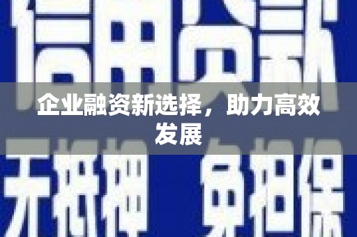 滨海企业融资新选择，助力高效发展