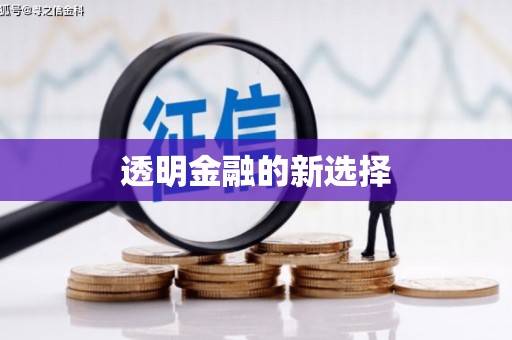 滨海透明金融的新选择