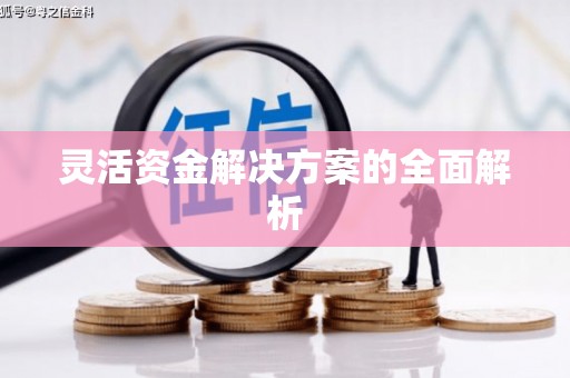 滨海灵活资金解决方案的全面解析