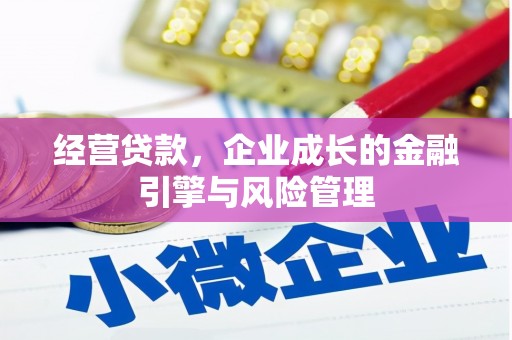 滨海经营贷款，企业成长的金融引擎与风险管理