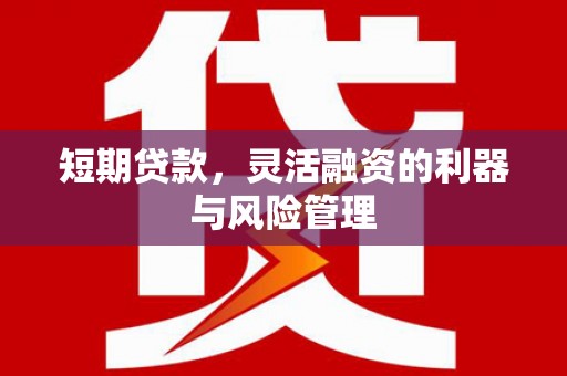 滨海短期贷款，灵活融资的利器与风险管理