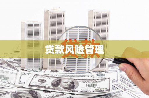 滨海贷款风险管理