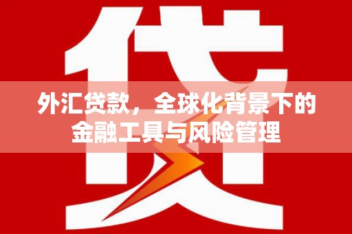 滨海外汇贷款，全球化背景下的金融工具与风险管理