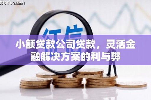 滨海小额贷款公司贷款，灵活金融解决方案的利与弊