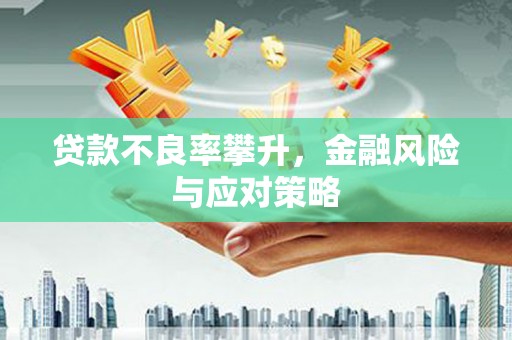 滨海贷款不良率攀升，金融风险与应对策略