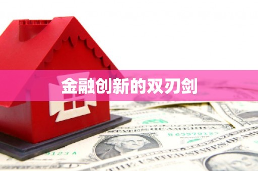 滨海金融创新的双刃剑