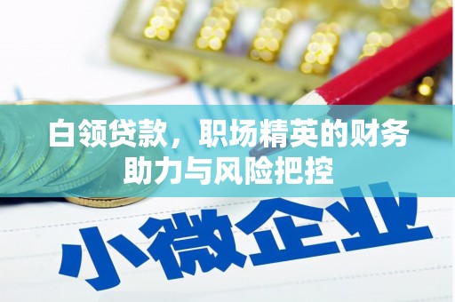 滨海白领贷款，职场精英的财务助力与风险把控